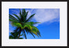 paper_frame