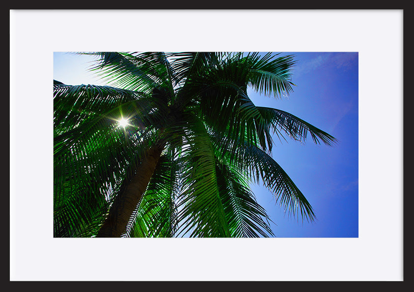 paper_frame