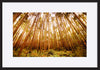 paper_frame