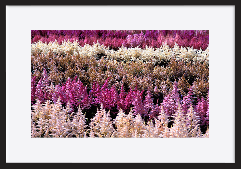 paper_frame