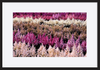 paper_frame