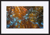 paper_frame