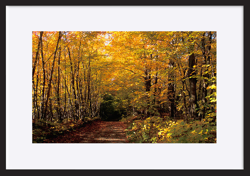 paper_frame