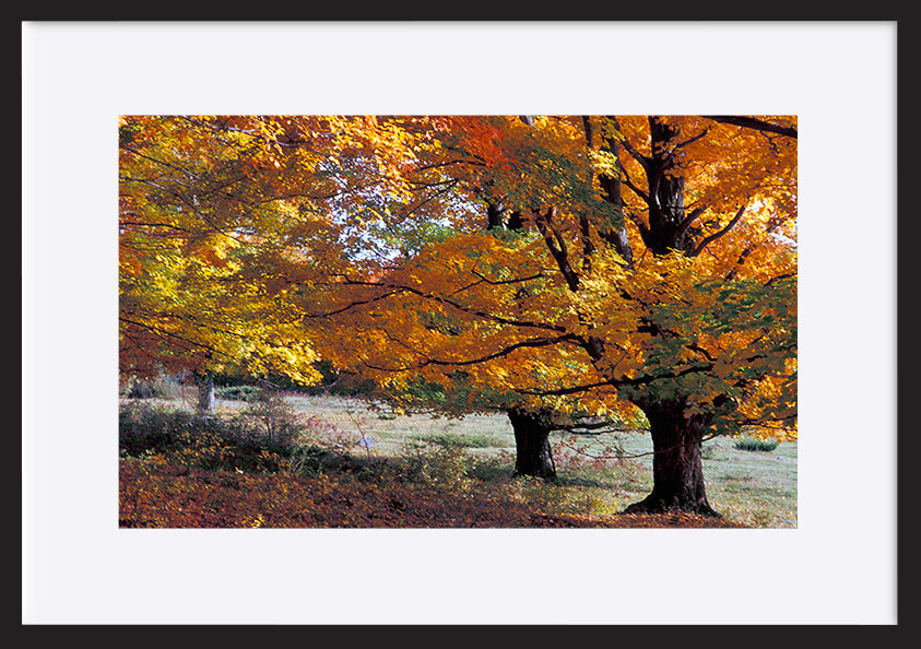 paper_frame