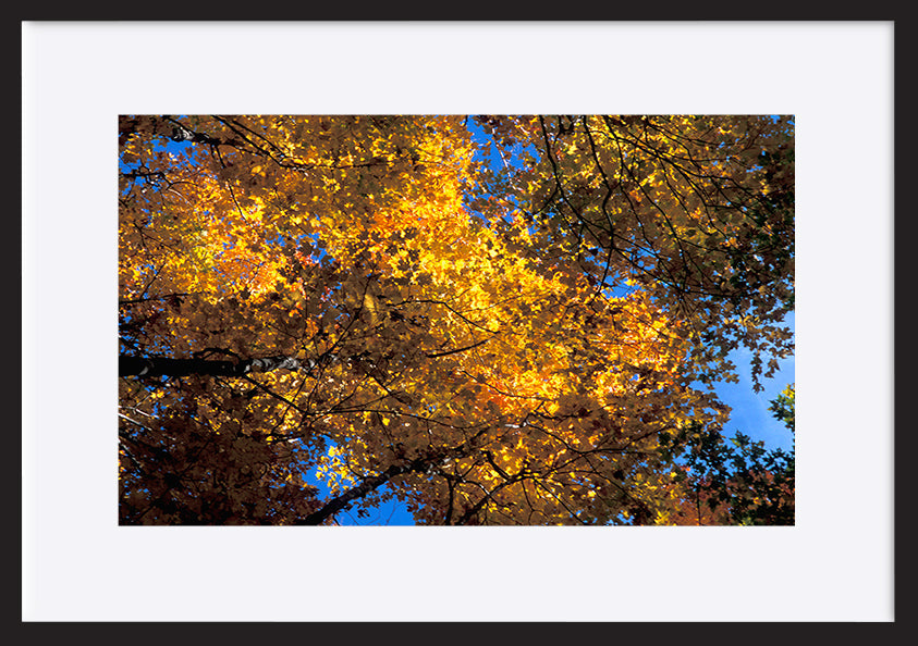 paper_frame