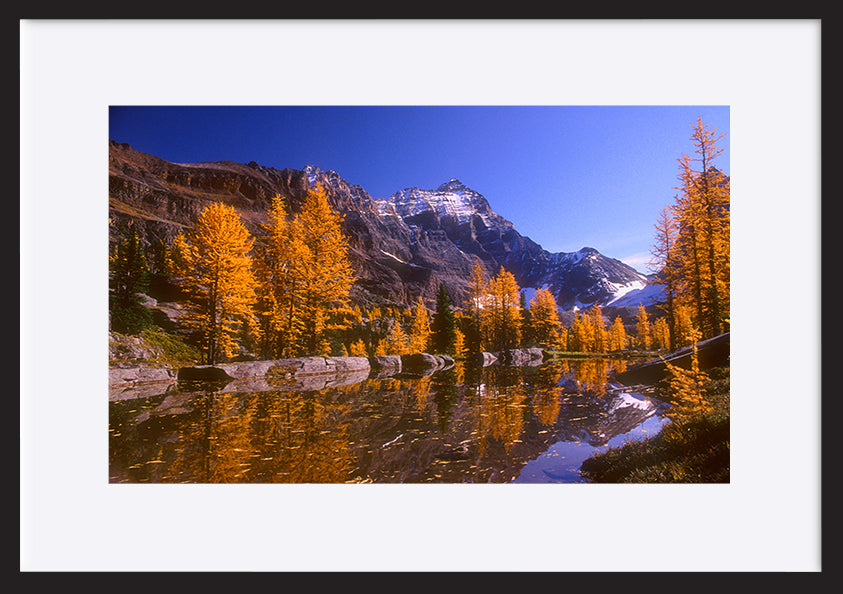 paper_frame