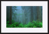 paper_frame