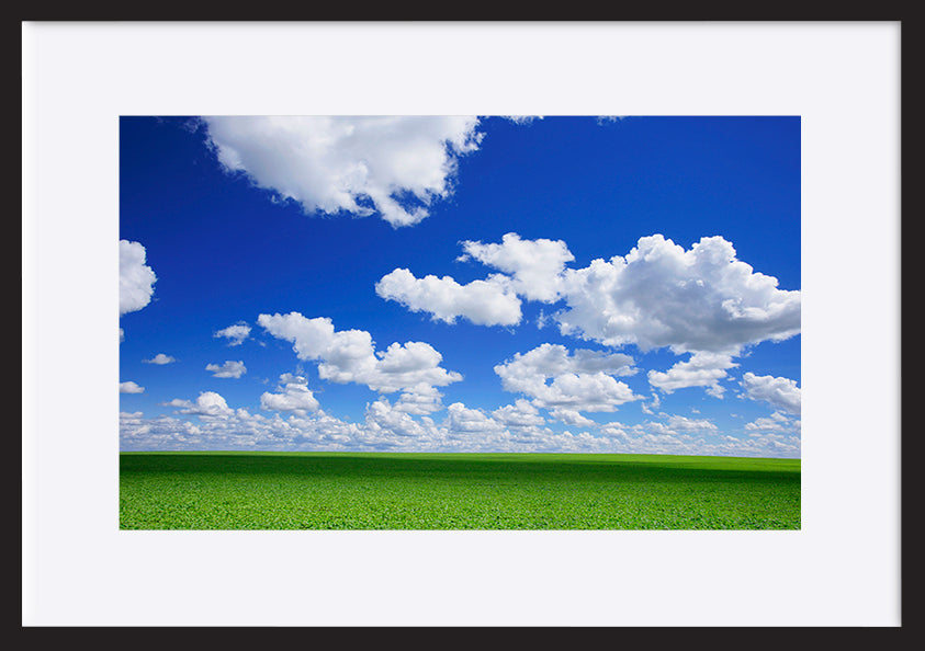 paper_frame