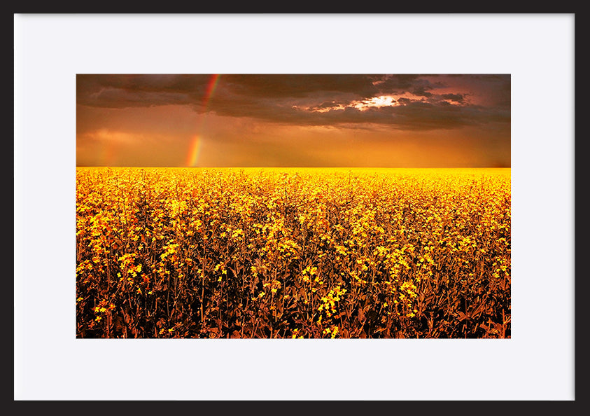 paper_frame