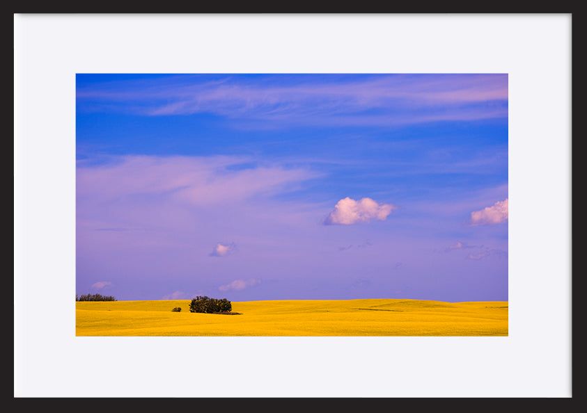 paper_frame