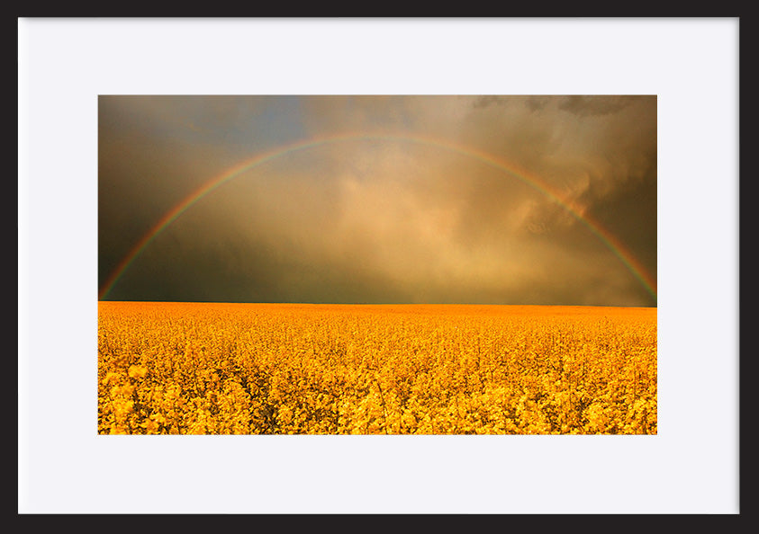 paper_frame
