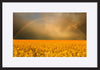 paper_frame