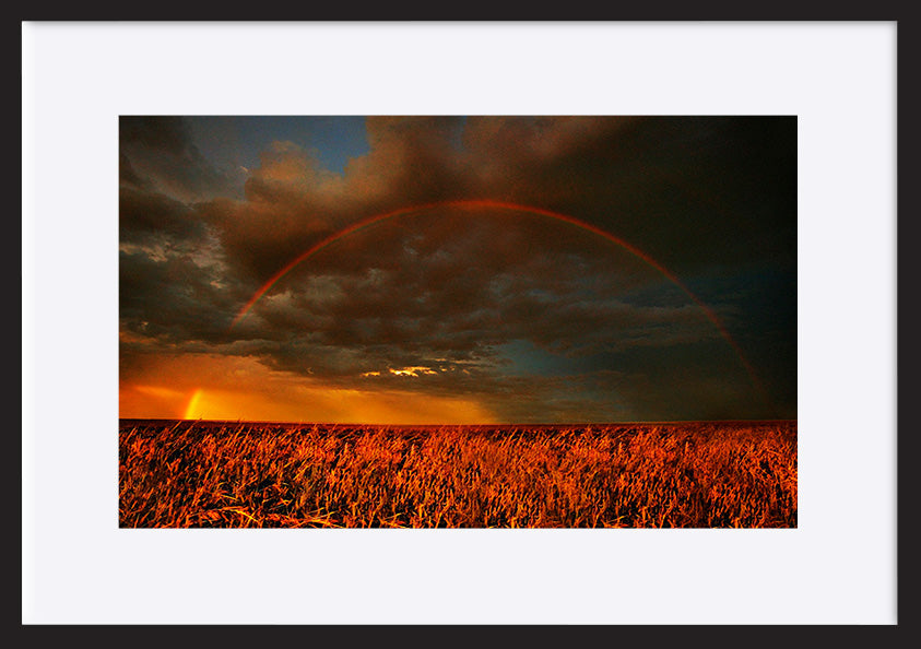 paper_frame