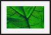 paper_frame