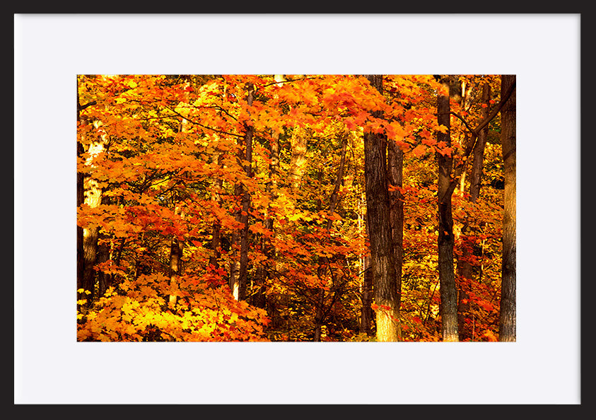 paper_frame