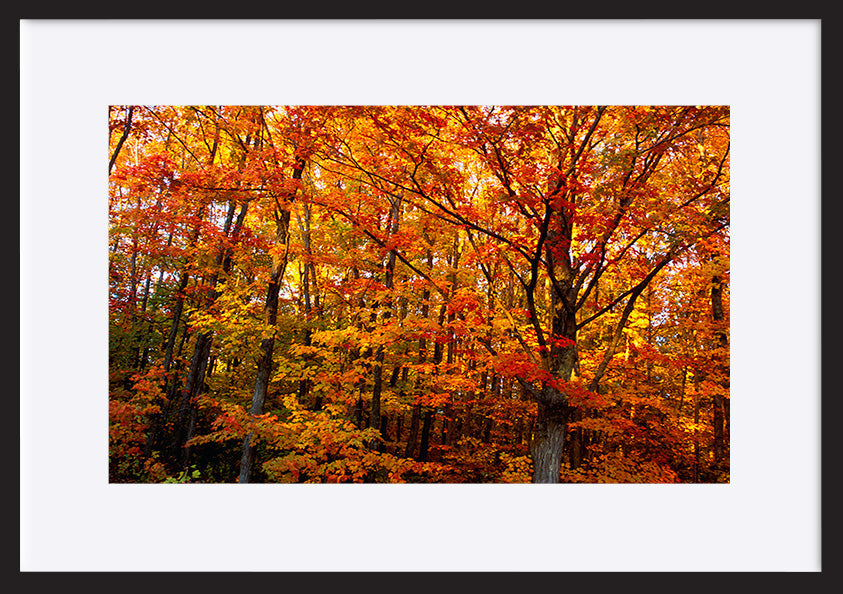 paper_frame