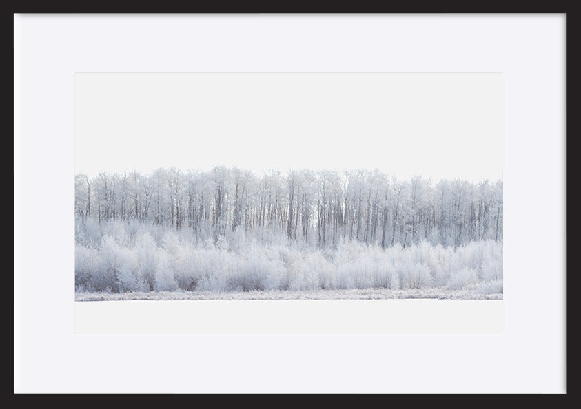 paper_frame