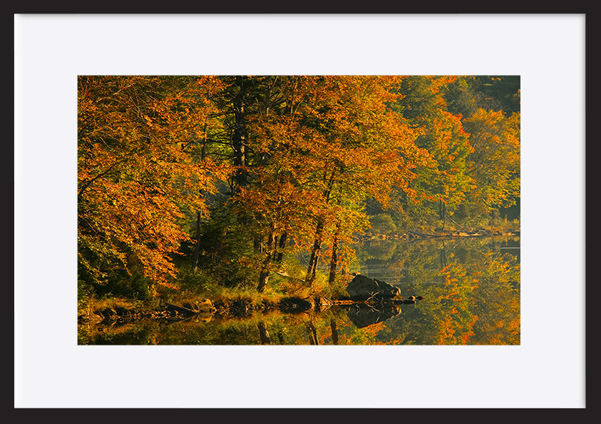 paper_frame
