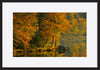 paper_frame