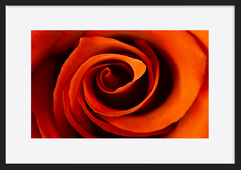 paper_frame