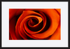 paper_frame