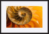 paper_frame
