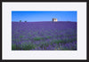 paper_frame