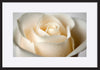 paper_frame
