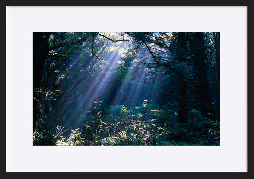 paper_frame