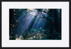 paper_frame
