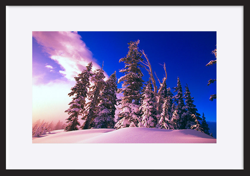 paper_frame