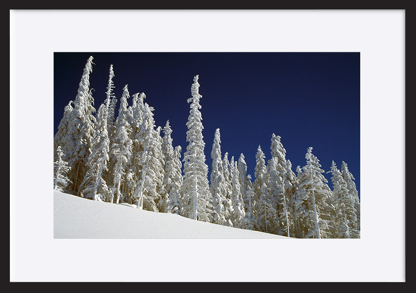 paper_frame