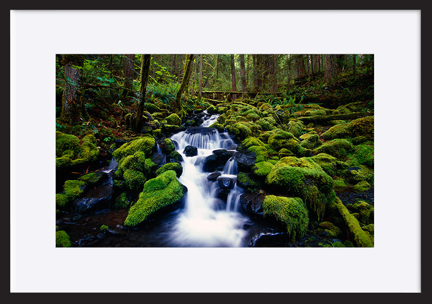 paper_frame