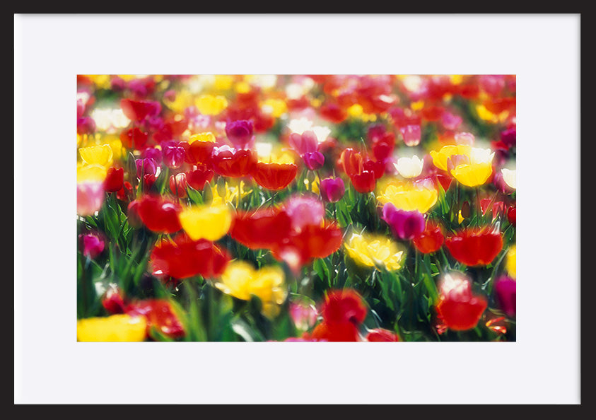 paper_frame