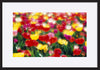 paper_frame
