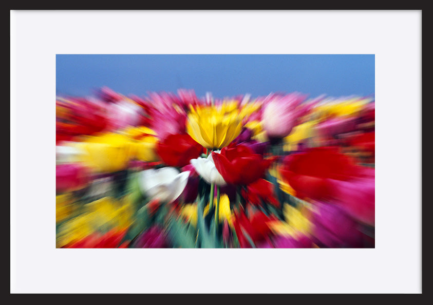 paper_frame