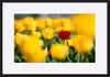 paper_frame