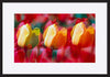 paper_frame