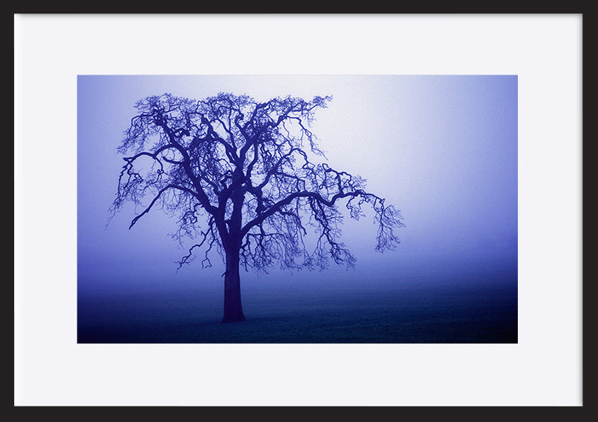 paper_frame