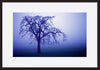paper_frame