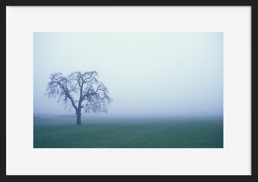 paper_frame