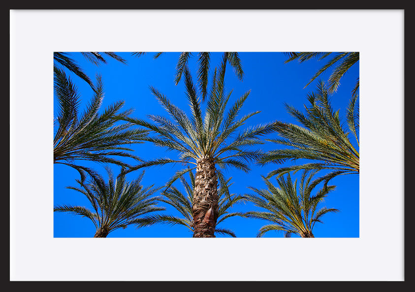paper_frame