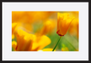 paper_frame