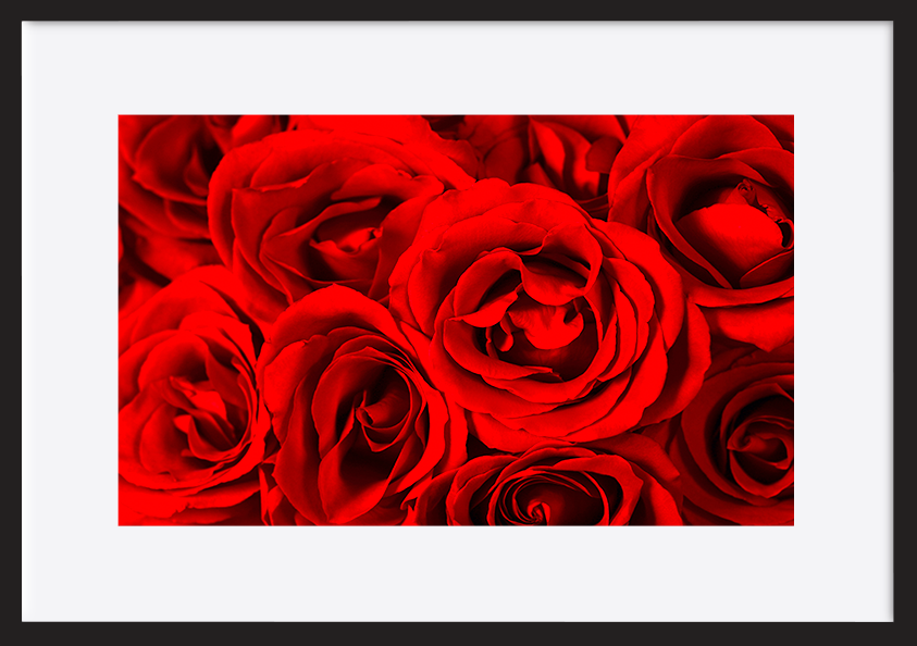paper_frame