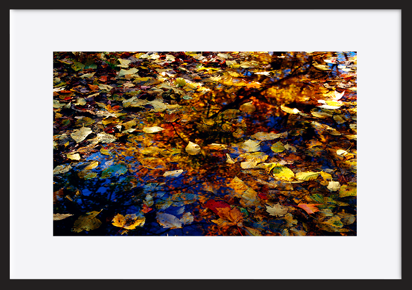 paper_frame