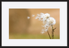 paper_frame