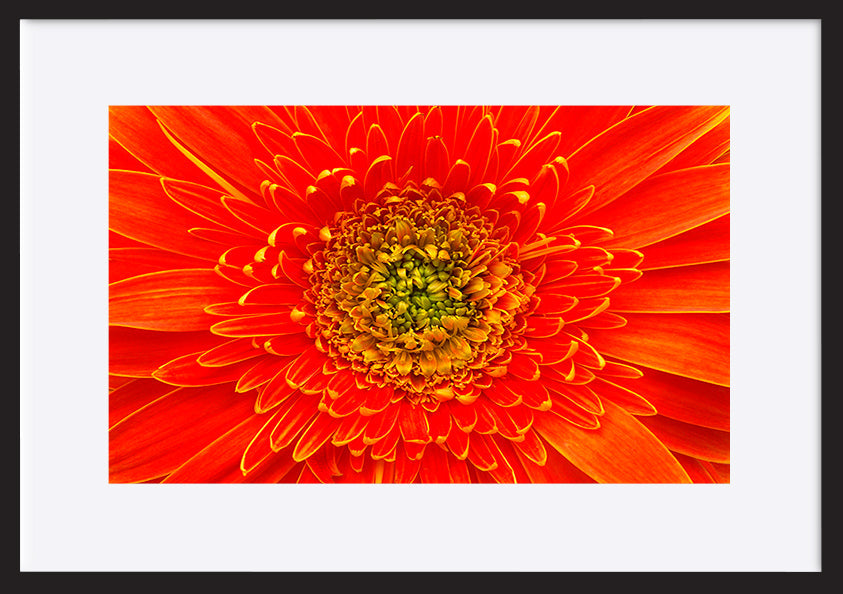 paper_frame