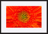 paper_frame