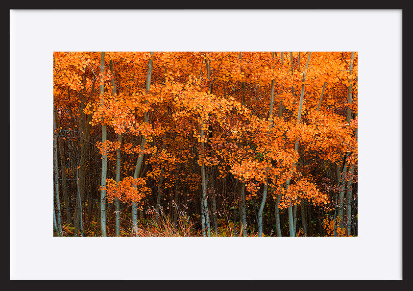 paper_frame