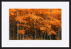 paper_frame